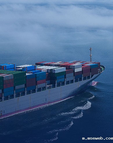 12年专业特种箱海运服务团队