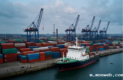 揭秘特种柜货代服务：哪些商品最适合使用？