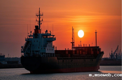 全球贸易的秘密武器：特种柜货代服务的重要性揭秘